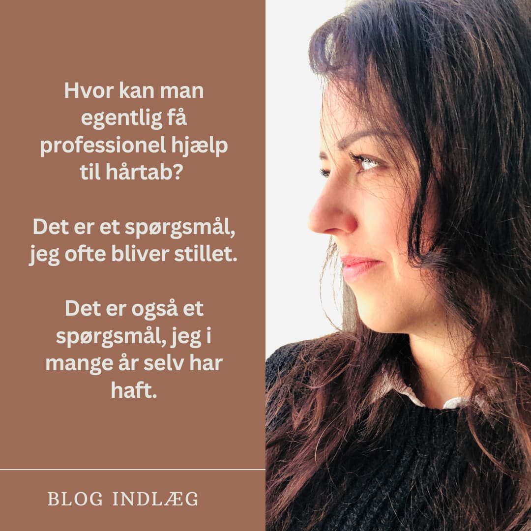 Professionel hjælp til hårtab. Kvinde som har flot tykt hår